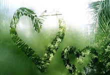 东平红娘婚介公司哪家好？试试这些经典服务！